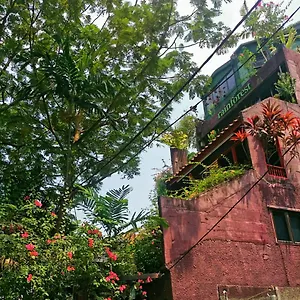 Rainforest Auberge de jeunesse Kuala Lumpur